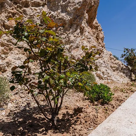 Case de vacanță Pelagos *