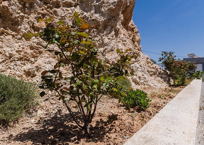 بيت للعطل Pelagos *